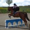 Stage compétition 2012