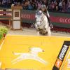 041 Penelope Leprevost