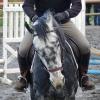 CSO du 22/11/09