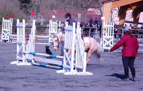 DSC_3768