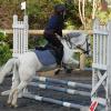 CSO du 31/10/10